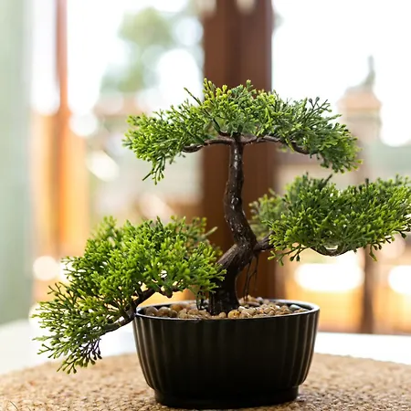 公寓 Lukas Summer House 尼基季