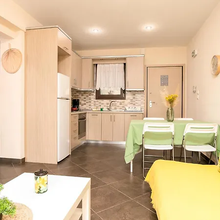 公寓 Lukas Summer House 尼基季